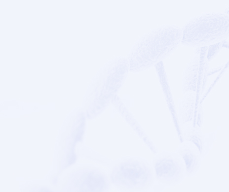 维多利亚老品牌vic(集团)官方网站